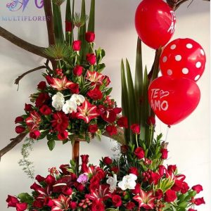 LENGUAJE DEL CORAZÓN