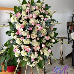 TRASCENDIENDO EL ADIÓS